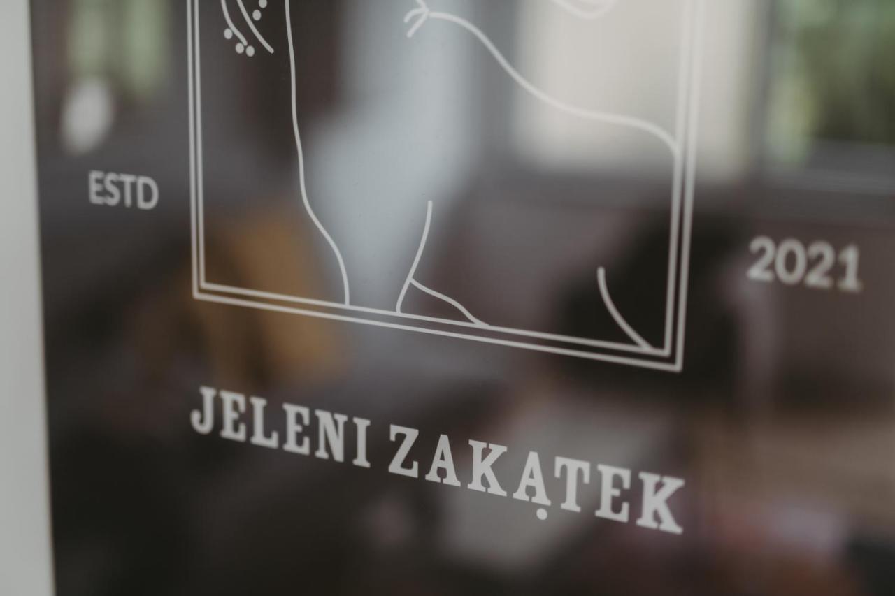 Jeleni Zakatek - W Stolicy Karkonoszy Jelenia Gora